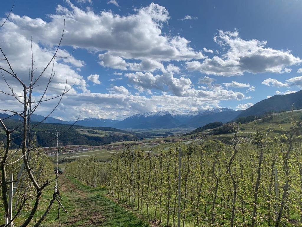 브레쯔 Agritur Maso Forcola 빌라 외부 사진